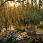 Фото по теме: Ива как материал для плетения